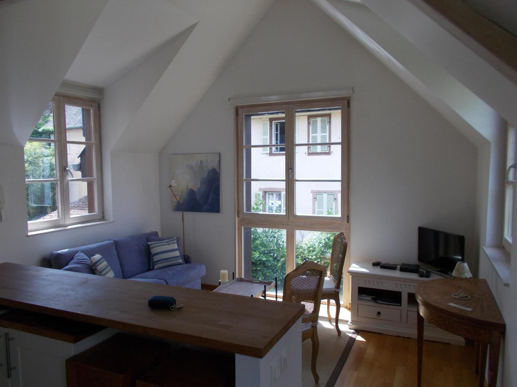 Apartament Petite Venise Colmar Zewnętrze zdjęcie